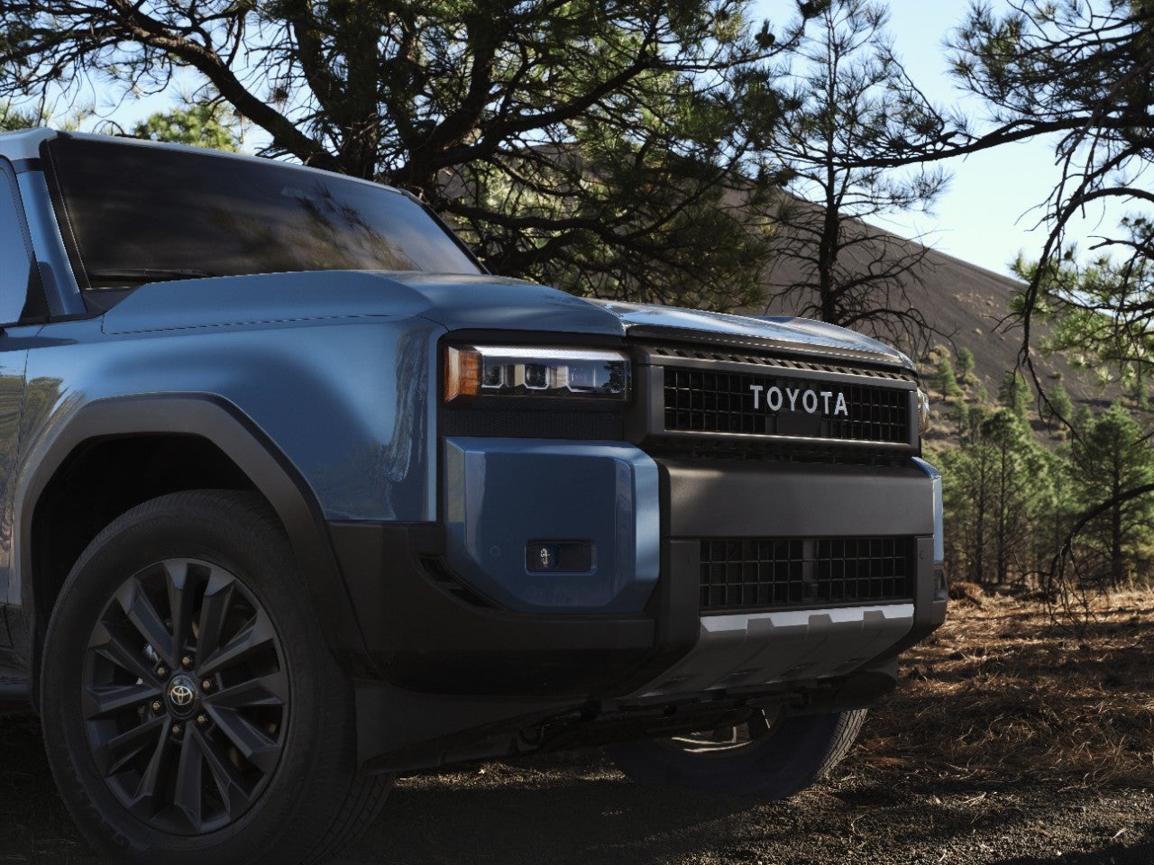 How to Enter the Giveaway